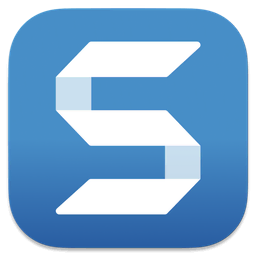 Snagit v.2025.4.8,强大的截屏软件