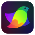 Amadine 破解版1.6.5