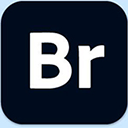 Adobe Bridge 2025 v15.1.1.729