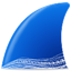 Wireshark 便携版 v4.4.8