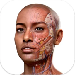 Complete Anatomy v.11.5,人体解剖学软件