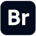 Adobe Bridge 2026 v.16.0.0,专业图像管理软件